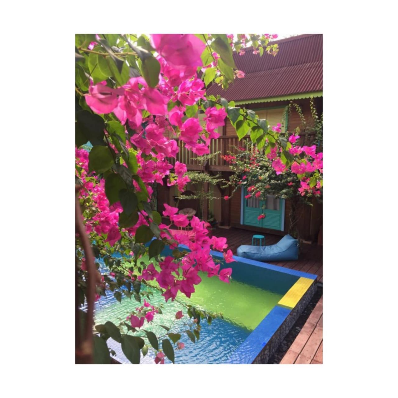 Bleu Verde Sanctuary Zone, Turtle Point Beach Gili Trawangan Chambre photo
